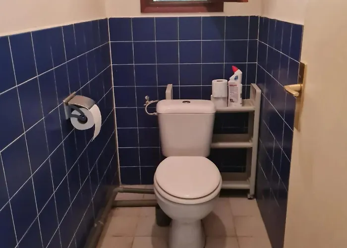 Confortable à 40 M² Avec Jardin Pietrosella